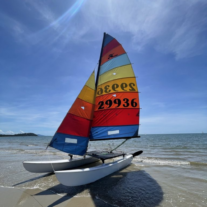 vela hobie cat